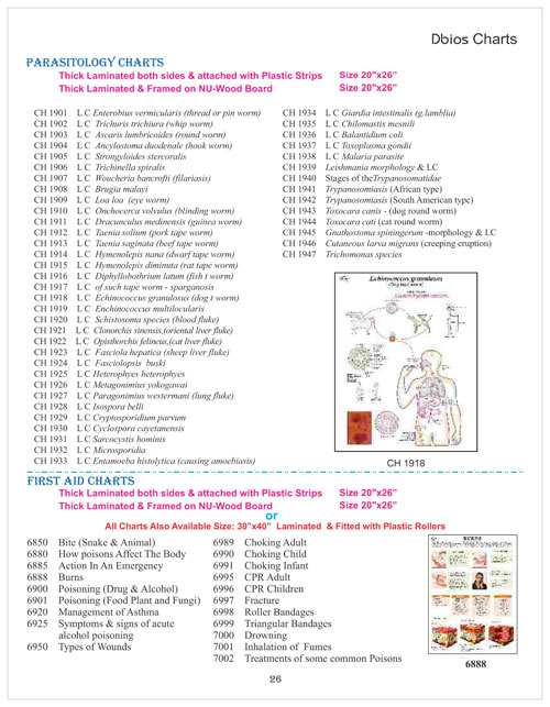 Parasitology And First Aid Chart